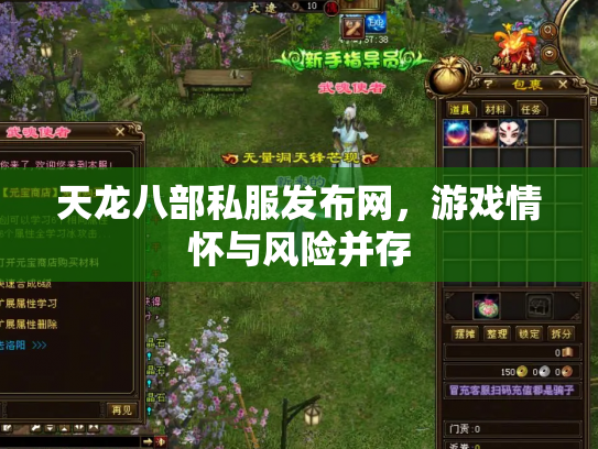 天龙八部私服发布网，游戏情怀与风险并存