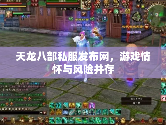 天龙八部私服发布网，游戏情怀与风险并存