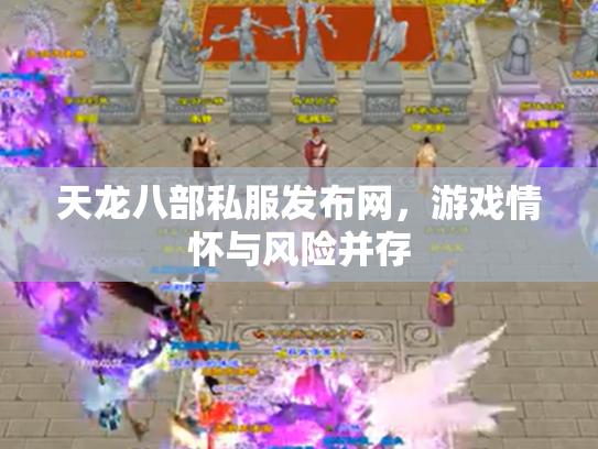 天龙八部私服发布网，游戏情怀与风险并存