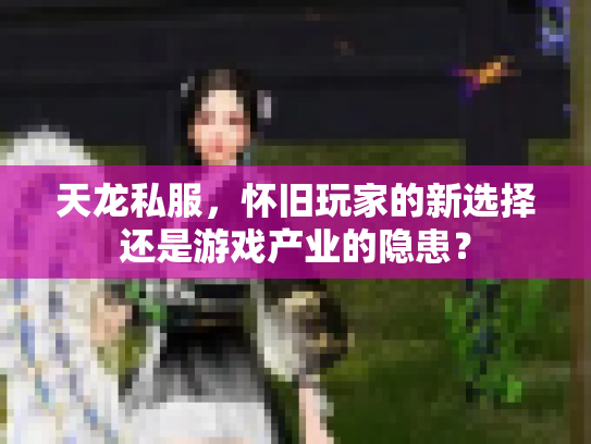 天龙私服，怀旧玩家的新选择还是游戏产业的隐患？