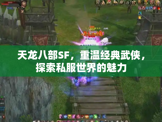 天龙八部SF，重温经典武侠，探索私服世界的魅力