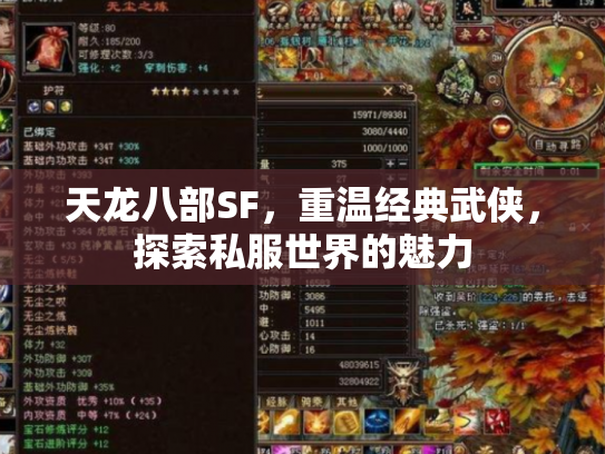 天龙八部SF，重温经典武侠，探索私服世界的魅力