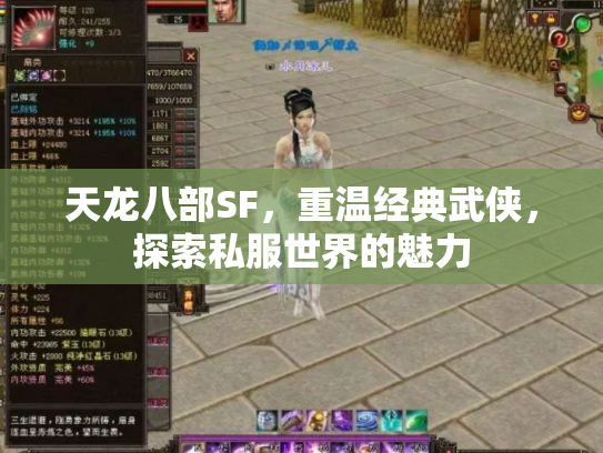 天龙八部SF，重温经典武侠，探索私服世界的魅力