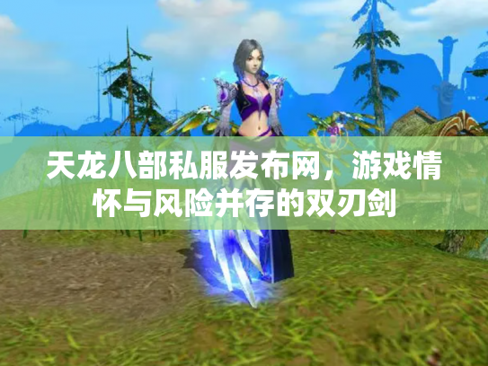 天龙八部私服发布网，游戏情怀与风险并存的双刃剑
