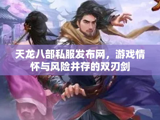 天龙八部私服发布网，游戏情怀与风险并存的双刃剑