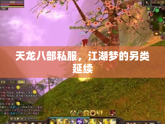 天龙八部私服，江湖梦的另类延续