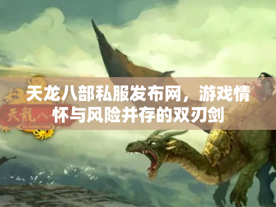 天龙八部私服发布网，游戏情怀与风险并存的双刃剑