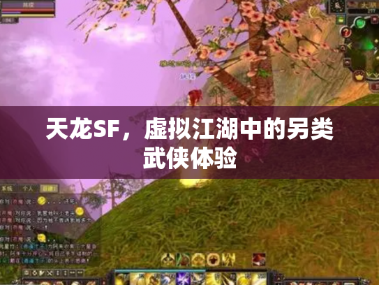 天龙SF，虚拟江湖中的另类武侠体验