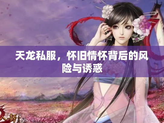 天龙私服，怀旧情怀背后的风险与诱惑
