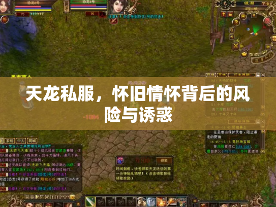 天龙私服，怀旧情怀背后的风险与诱惑