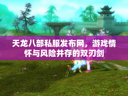 天龙八部私服发布网，游戏情怀与风险并存的双刃剑