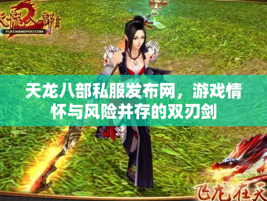 天龙八部私服发布网，游戏情怀与风险并存的双刃剑