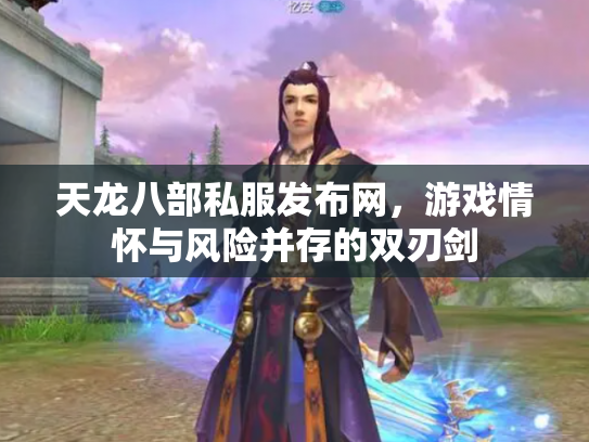 天龙八部私服发布网，游戏情怀与风险并存的双刃剑