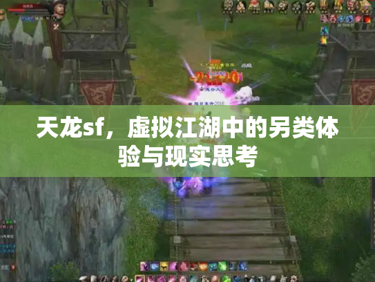 天龙sf，虚拟江湖中的另类体验与现实思考