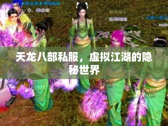 天龙八部私服，虚拟江湖的隐秘世界