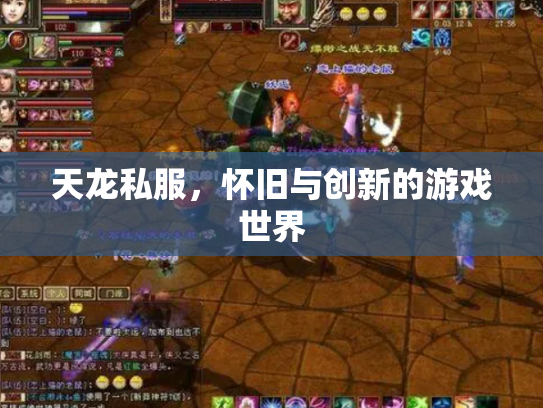 天龙私服，怀旧与创新的游戏世界