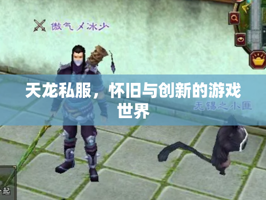 天龙私服，怀旧与创新的游戏世界