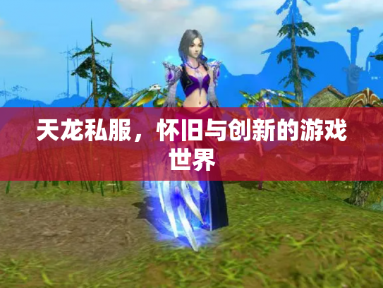 天龙私服，怀旧与创新的游戏世界