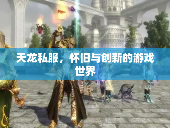 天龙私服，怀旧与创新的游戏世界
