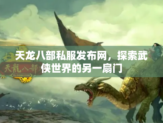 天龙八部私服发布网，探索武侠世界的另一扇门