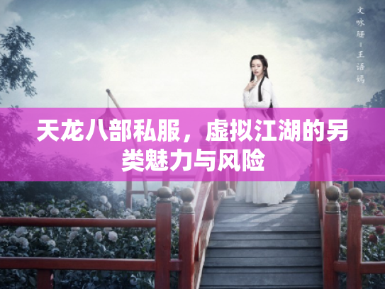 天龙八部私服，虚拟江湖的另类魅力与风险