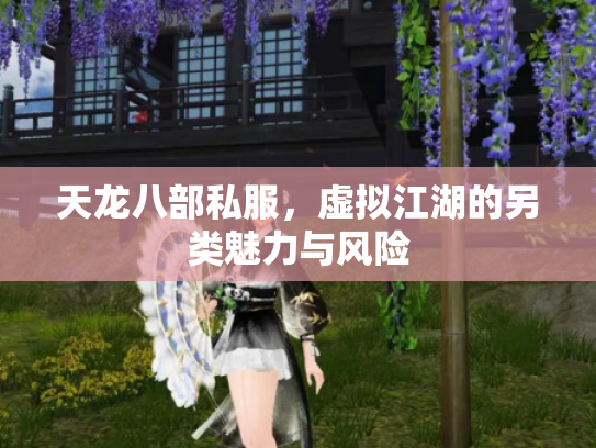 天龙八部私服，虚拟江湖的另类魅力与风险