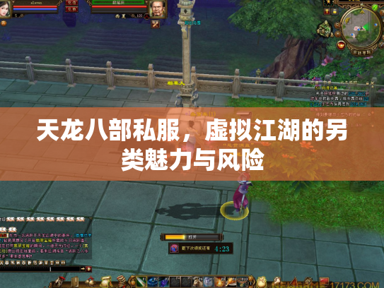天龙八部私服，虚拟江湖的另类魅力与风险