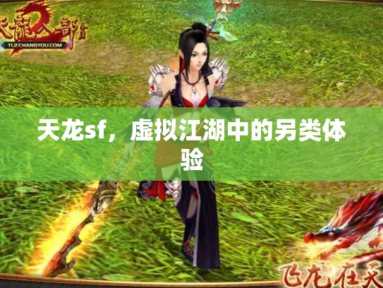 天龙sf，虚拟江湖中的另类体验