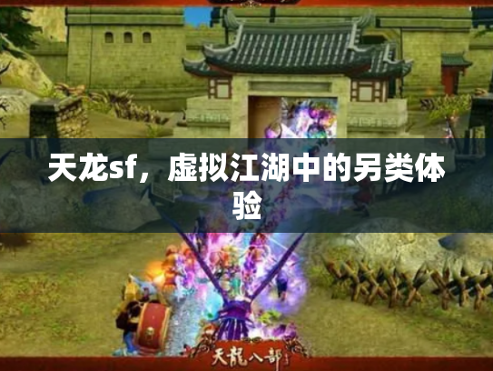 天龙sf，虚拟江湖中的另类体验