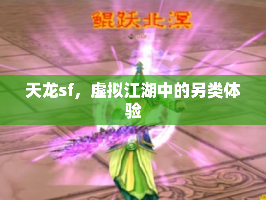 天龙sf，虚拟江湖中的另类体验