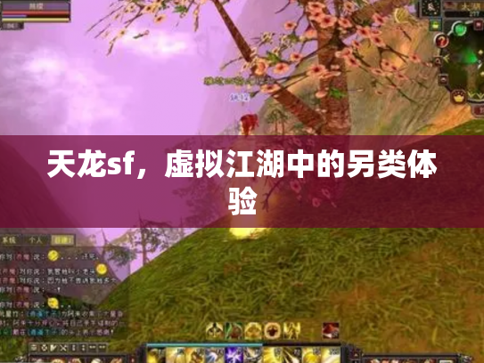天龙sf，虚拟江湖中的另类体验