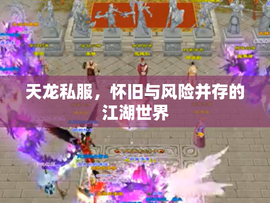 天龙私服，怀旧与风险并存的江湖世界