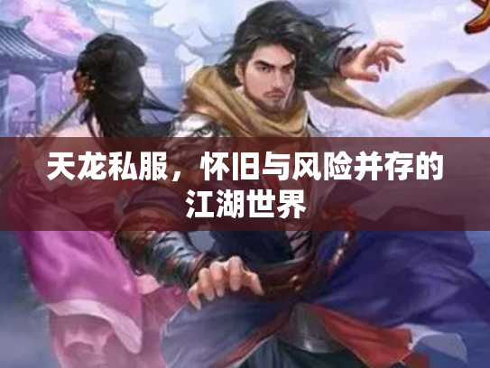 天龙私服，怀旧与风险并存的江湖世界