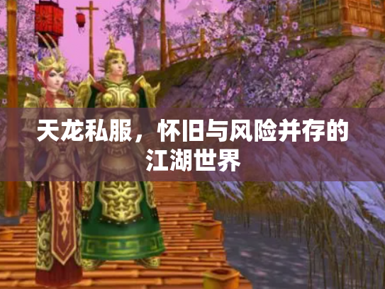 天龙私服，怀旧与风险并存的江湖世界