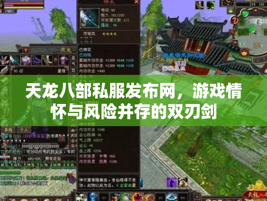 天龙八部私服发布网，游戏情怀与风险并存的双刃剑