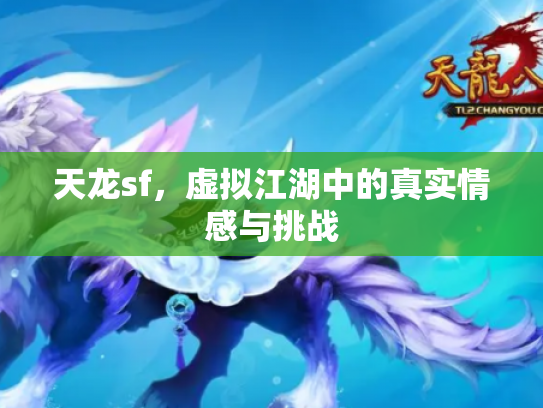 天龙sf，虚拟江湖中的真实情感与挑战