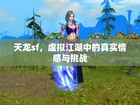 天龙sf，虚拟江湖中的真实情感与挑战