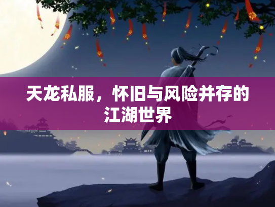 天龙私服，怀旧与风险并存的江湖世界