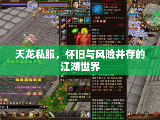 天龙私服，怀旧与风险并存的江湖世界
