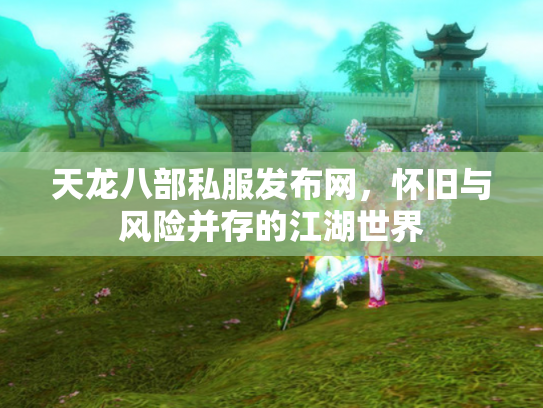 天龙八部私服发布网，怀旧与风险并存的江湖世界
