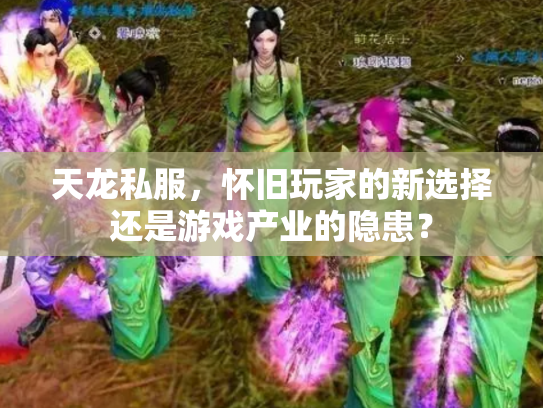 天龙私服，怀旧玩家的新选择还是游戏产业的隐患？