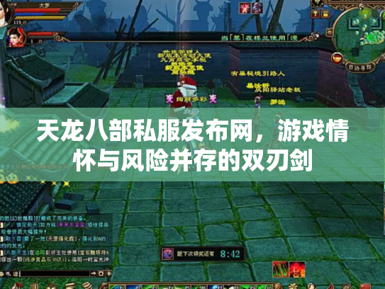 天龙八部私服发布网，游戏情怀与风险并存的双刃剑