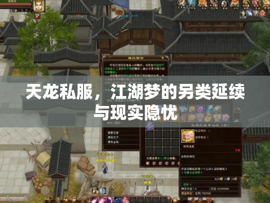天龙私服，江湖梦的另类延续与现实隐忧