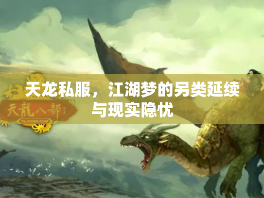 天龙私服，江湖梦的另类延续与现实隐忧