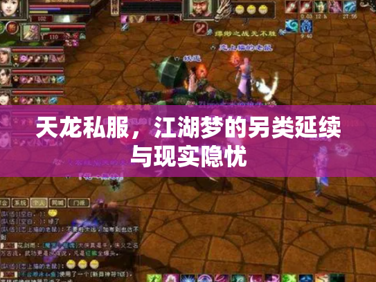 天龙私服，江湖梦的另类延续与现实隐忧