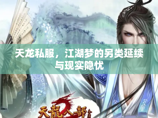 天龙私服，江湖梦的另类延续与现实隐忧