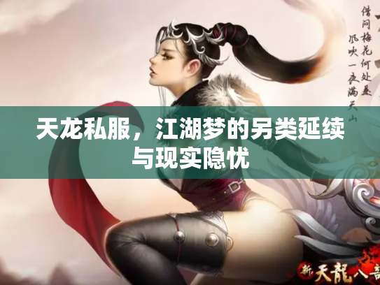 天龙私服，江湖梦的另类延续与现实隐忧