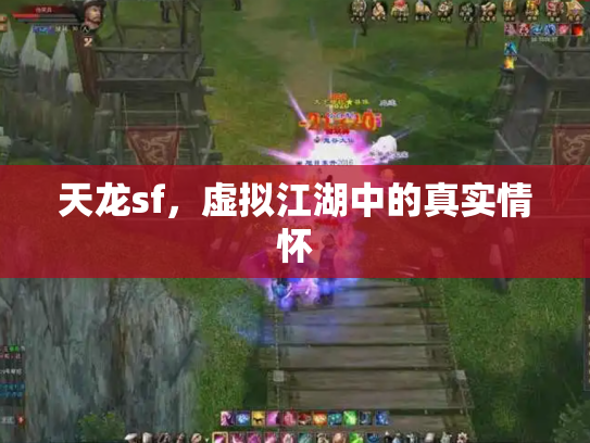 天龙sf，虚拟江湖中的真实情怀