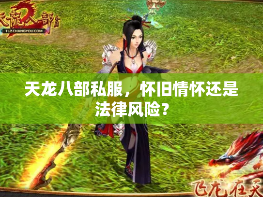 天龙八部私服，怀旧情怀还是法律风险？