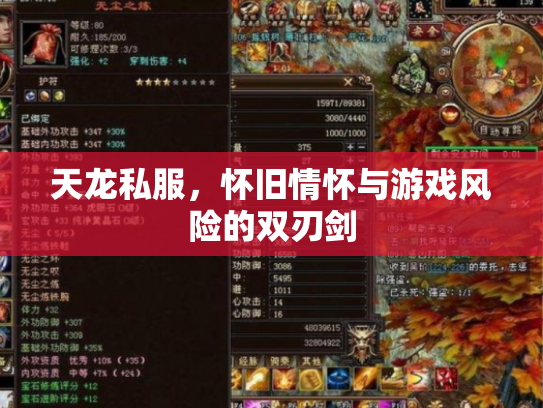 天龙私服，怀旧情怀与游戏风险的双刃剑